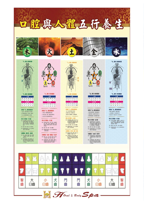 tbda會刊_創刊號-web tbda會刊_創刊號-web