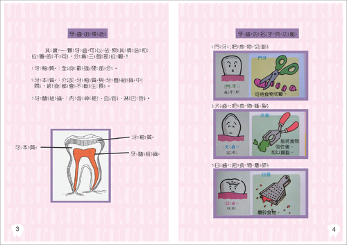 口腔保健潔牙護照入門篇 口腔保健潔牙護照入門篇