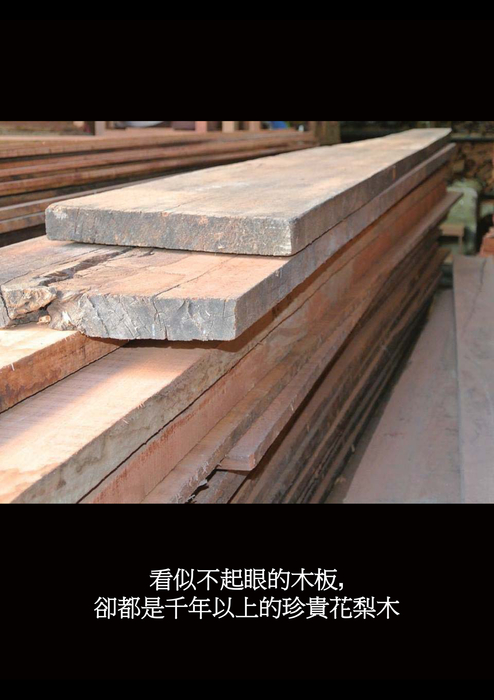 20151105新喇叭誕生_web 20151105新喇叭誕生_web